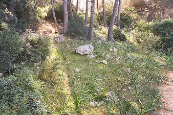 a b: Strand Cala Varques