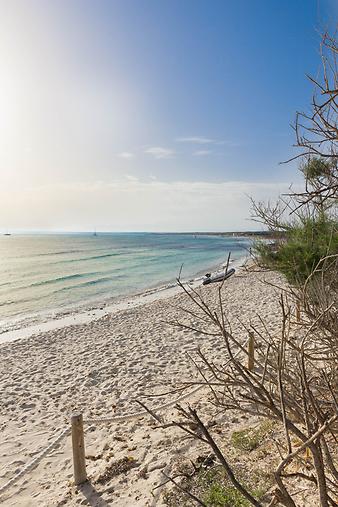 Strand Es Trenc: Strand Es Trenc