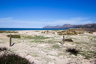 a b: Son Serra de Marina