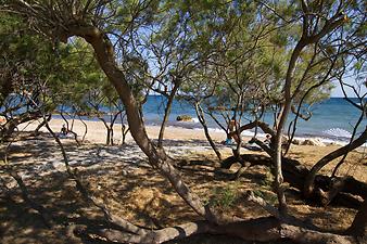 Strand Cala sa Marjal: Stand Cala Sa Marjal