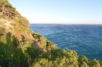 a b: Strand Port Roig