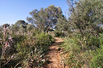 Finca Es Banc d'oli: Cala Varques