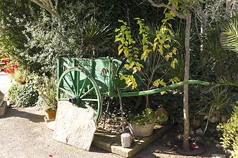 Finca Son Ramonet: Der Garten.