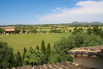 Finca Son Negre: Aussicht Son Negre