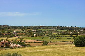 Finca Son Negre: Aussicht Son Negre