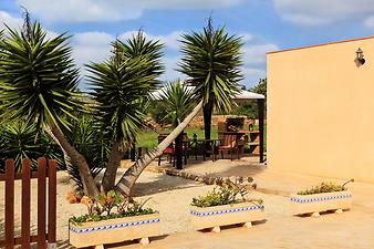 Finca Coll Doret: Yucca-Palme