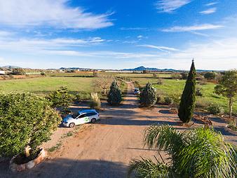 Finca Es Banc d'oli: Finca Son Vaquer - Banc dOli