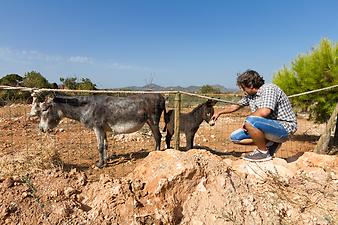 Finca Sa Gruta Vella: Apolonia  und Baby