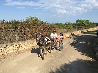 Finca Sa Gruta Vella: Ausflug mit dem Esel