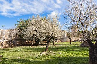 Finca Es Moli d'en Llull: Ansicht der Finca