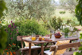 Finca Es Pla de Llodra: Garten-Paradies