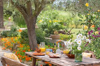 Finca Es Pla de Llodra: Garten der Finca