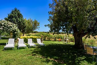 Finca Es Pla de Llodra: Garten