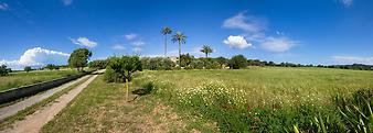 Finca Es Pla de Llodra: Es Pla de Llodra bei Manacor