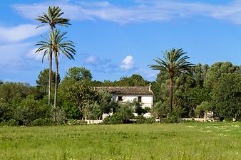 Finca Es Pla de Llodra: Langsam nähern wir und dem Ziel. 