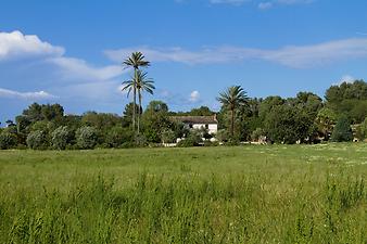 Finca Es Pla de Llodra: Es Pla de Llodra bei Manacor