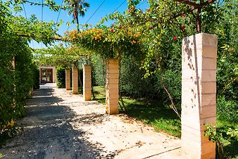 Fincahotel Sa Franquesa Nova: Bougainvillea