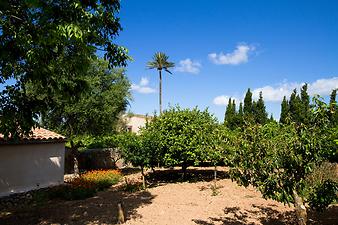 Finca Es Pla de Llodra: Ansicht der Finca