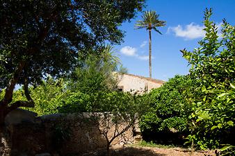 Finca Es Pla de Llodra: Ansicht der Finca