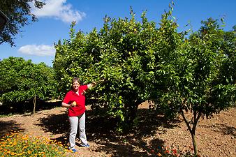 Finca Es Pla de Llodra: Ansicht der Finca