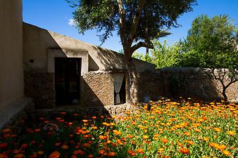 Finca Es Pla de Llodra: Ansicht der Finca