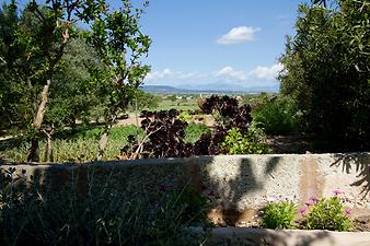 Finca Es Pla de Llodra: Ansicht der Finca