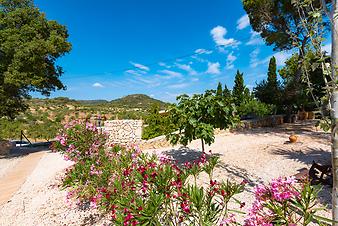 Finca Cas Pages des Pujol: Oleander