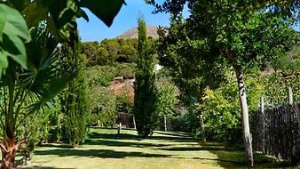 Finca S'Arbocar: Garten der Finca