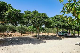 Finca Sa Gruta Vella: Parkplatz mit Ladestation