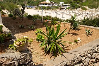 Ferienwohnung Maria del Mar: mediterraner Garten