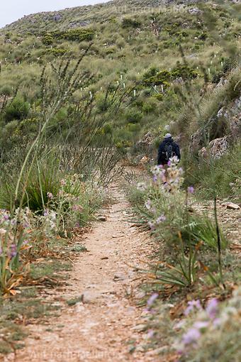 Wandern im Naturpark