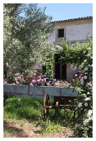 Finca Es Pla de Llodra: Ansicht der Finca