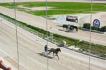 Finca Sa Creueta: Hipodrom - Trabrennbahn Manacor