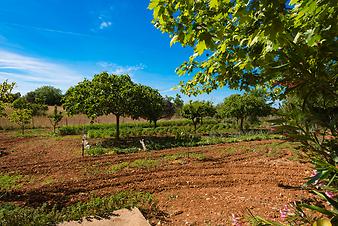 Finca Sa Cova Nova: Gemüsegarten