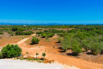 Finca Roig: Roig - die rote Erde