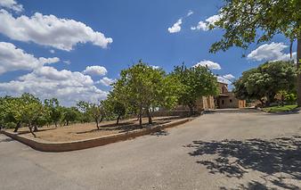 Finca Es Turonet: Finca Es Turonet - Manacor - Mallorca