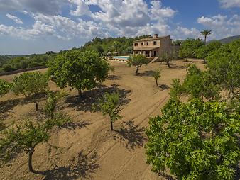 Finca Es Turonet: Finca Es Turonet - Manacor - Mallorca