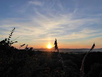 Finca Son Torrat: Sonnenuntergang