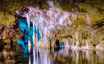 Finca Es Turonet: Cuevas del Drach