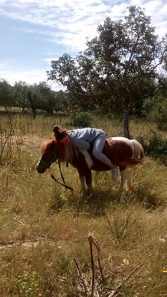 Finca Cas Padri Guillem: Kind mit Pony Pedro