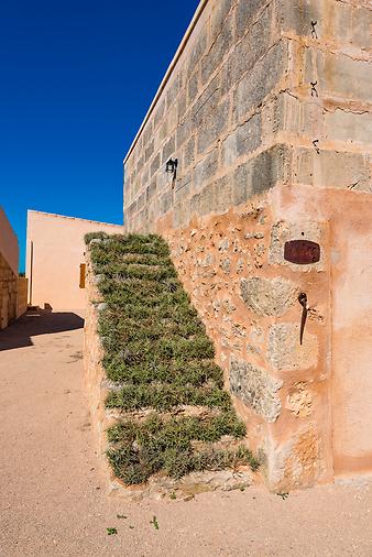 Finca Son Rosinyol Nou: _DSC6279.jpg