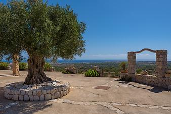 Finca Son Galta: Meerblick