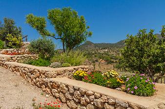 Finca S'Esquerda: Blumen und Kräuter