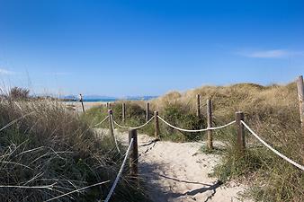 Finca Son Duri Petit: Dünen in der Bucht von Alcudia