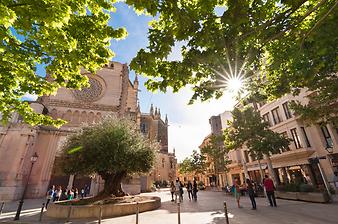 Finca Es Turonet: Manacor