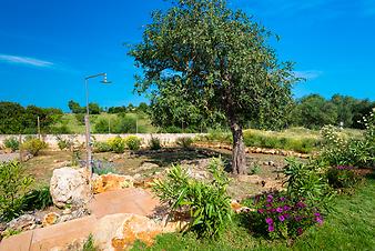 Finca Cas Padri Guillem: Pooldusche Finca Cas Padri Guillem