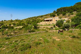 Finca S'Esquerda: Landschaft um S Esquerda