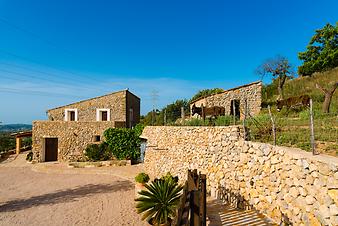 Finca S'Esquerda: Esel