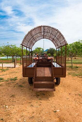 Finca Can Pere Rei: _DSC7618.jpg