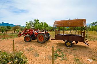 Finca Can Pere Rei: _DSC7623.jpg